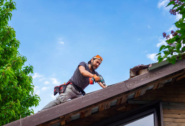 Best Metal Roofing Installation  in USA